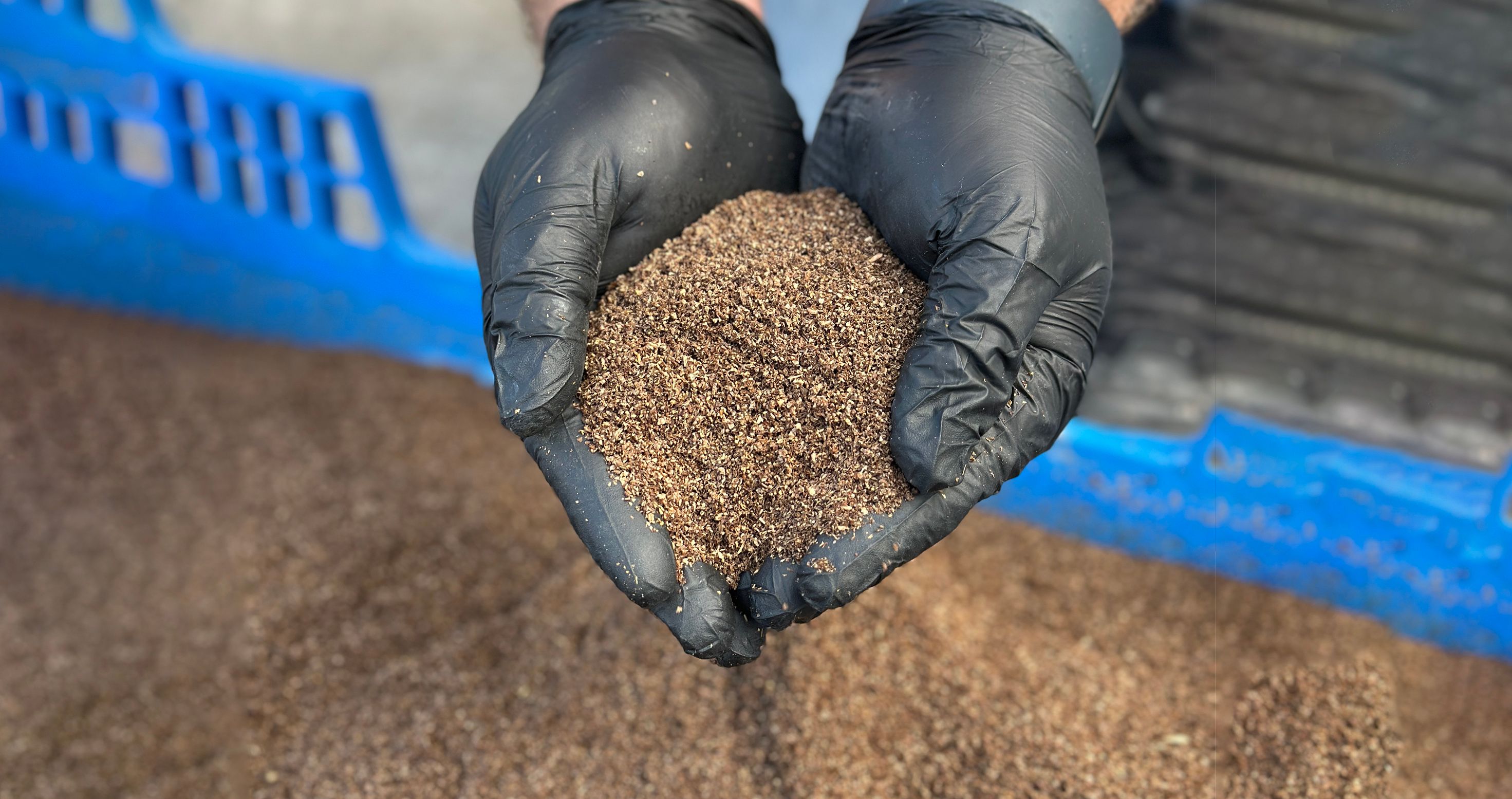 Frass: El fertilizante orgánico que está revolucionando la agricultura