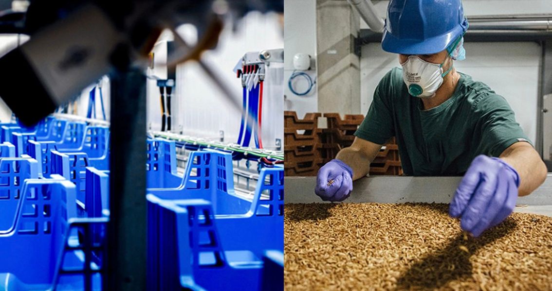 Granjas Contenedores de Insectius: Innovación y Sostenibilidad en la Agricultura
